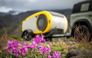 MINK achter de auto in de natuur